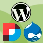 WordPress, Drupal y DNN: los CMS con los que trabajamos en Interdigital