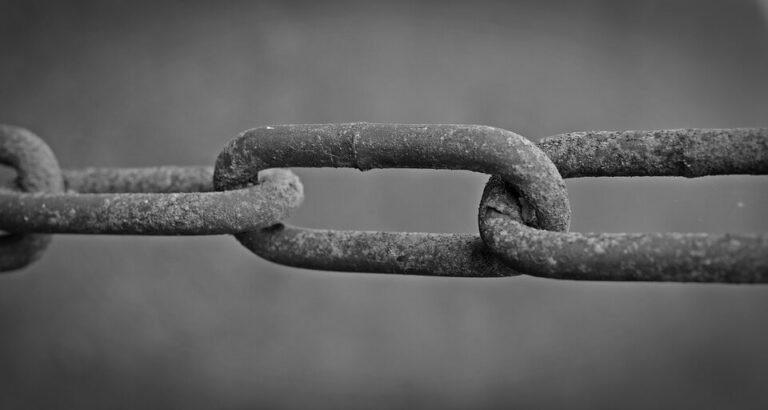 Qué es el linkbuilding y estrategias para llevarlo a cabo